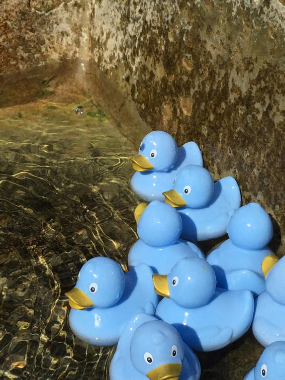 SommersonnenwendeSabine